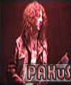 PAKuS 