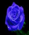 aniolek133 - filmy