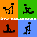 darnix zdjęcia