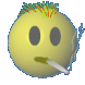 Misiek 