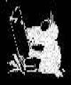 Sibelius Die Fichte