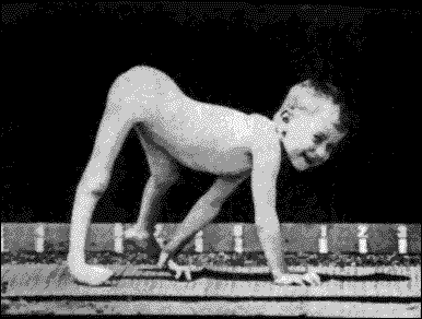 sznupa - filmy