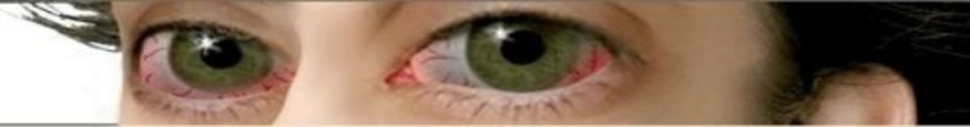 Zdjęcia Reżysera weed (!!!.{@d!Cx}.!!!)